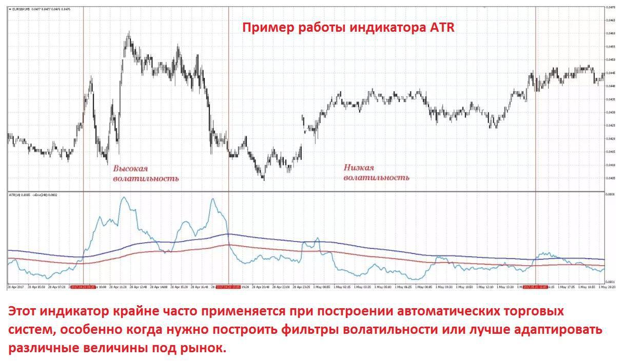 советник Дельфин